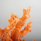 Интерьерный сувенир "Коралл" 24*19см оранжевый - фото 24567027 Интерьерный сувенир "Коралл" 24*19см оранжевый - фото 24567027