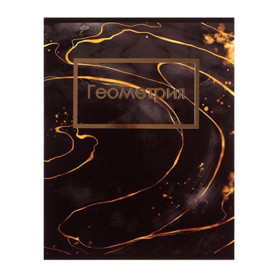 Тетрадь предметная Calligrata TOP "Мрамор тёмный", 48 листов в клетку Геометрия, со справочным материалом, обложка мелованный картон, покрытие Soft-touch с тиснением золотой фольгой, блок офсет
