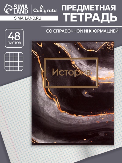 Предметная тетрадь по истории Calligrata «Мрамор тёмный», 48 листов, в клетку, со справочным материалом, обложка из мелованного картона