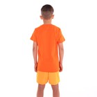 Футболка для мальчика, цвет оранжевый, рост 134 - фото 27567377