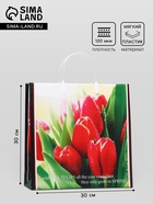 Пакет «Чудесные тюльпаны», мягкий пластик, 30×30 см 120 мкм - Фото 1