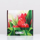Пакет «Чудесные тюльпаны», мягкий пластик, 30×30 см 120 мкм - Фото 2