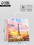 Пакет «Утро в Париже», мягкий пластик, 30×30 см, 120 мкм - Фото 1