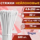 Хомут нейлоновый ТУНДРА krep,  для стяжки, 4.8х250 мм, белый, в упаковке 100 шт. 9380716 - фото 5097851