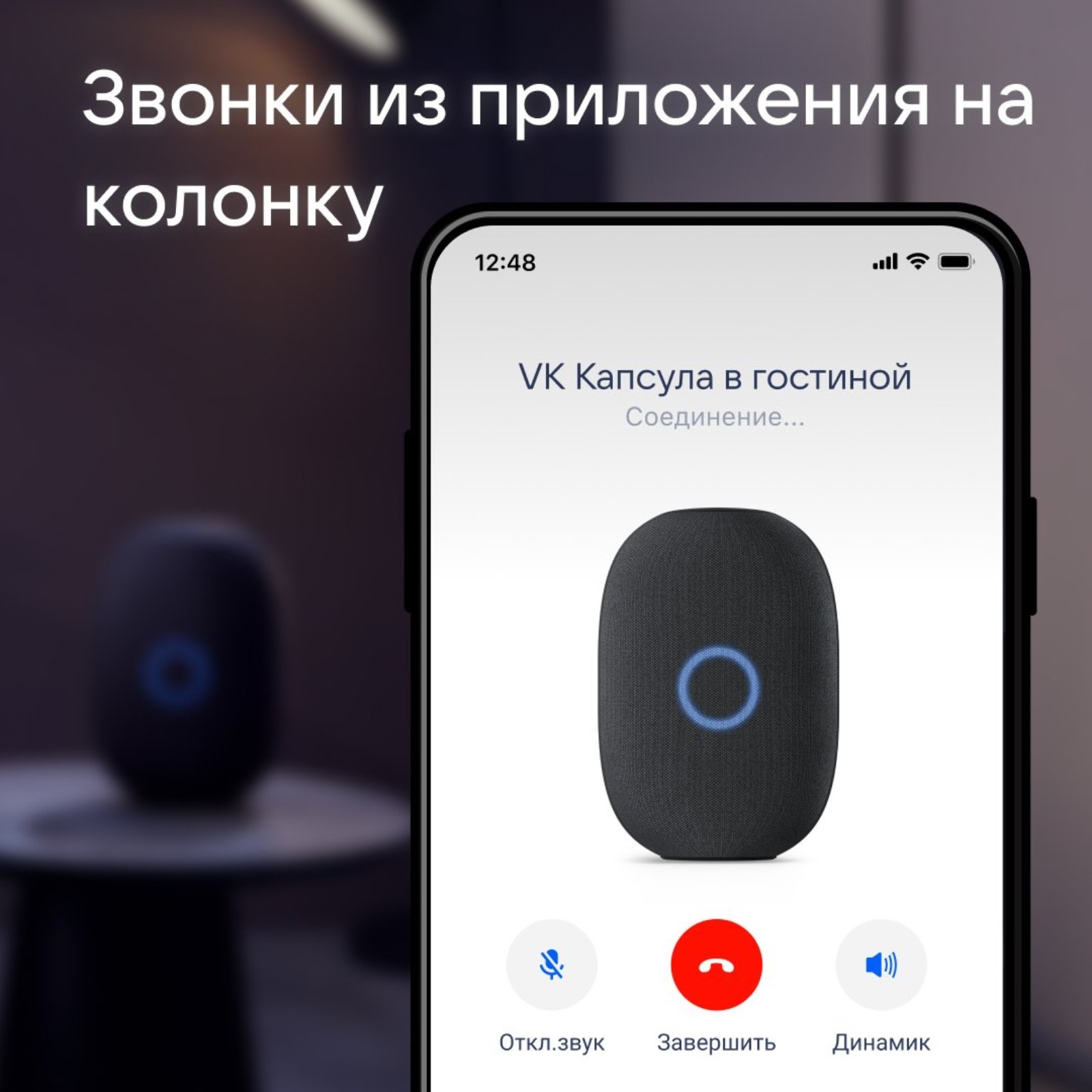 Умная колонка VK Капсула. Два новых стильных цвета Новости DNS IW0001875