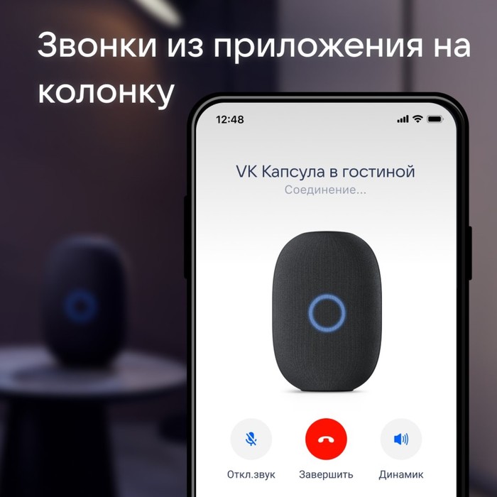 Умная колонка VK Капсула (MRC01BL), голосовой помощник Маруся, 30 Вт, Wi-Fi, BT 5.0, черная - фото 51707106