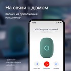 Умная колонка VK Капсула (MRC01GR), голосовой помощник Маруся, 30 Вт, Wi-Fi, BT 5.0, зеленая - Фото 5