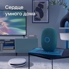 Умная колонка VK Капсула (MRC01GR), голосовой помощник Маруся, 30 Вт, Wi-Fi, BT 5.0, зеленая - Фото 7