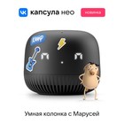 Умная колонка VK Нео (VKSP11BK), голосовой помощник Маруся, 5Вт, Wi-Fi, BT 5.0, черная - Фото 9