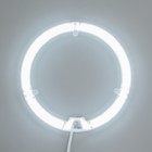 Модуль LED с драйвером 230В 36Вт smd2835 3240Лм 6500К ø238*19мм 9588970 - фото 16351860