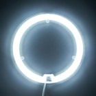 Модуль LED с драйвером 230В 36Вт smd2835 3240Лм 6500К ø238*19мм 9588970 - фото 16351861
