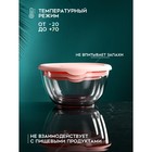 Набор контейнеров «Роза», 1500 мл, 850 мл, 450 мл, стекло, Иран - Фото 4