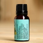 Эфирное масло «Бергамот» флакон-капельница 17 мл «Добропаровъ» - Фото 3