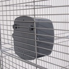 Клетка для птиц «Пижон» №104-Б, разборная, 58×40×88 см, 2 секции, серая - Фото 10