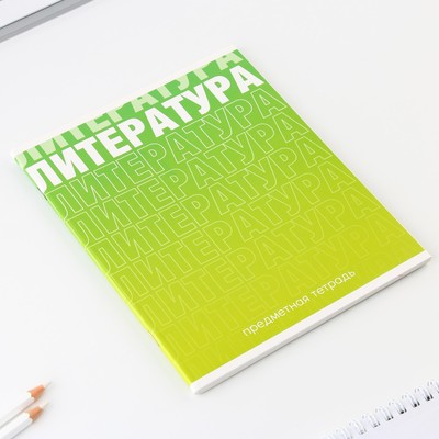 Тетрадь в линейку, предметная, 48 л., на скрепке, А5 «ГРАДИЕНТ. Литература»