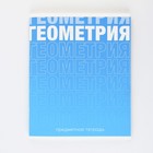 Тетрадь предметная 48 листов, А5, ГРАДИЕНТ, со справочными материалами «1 сентября: Геометрия», обложка мелованный картон 230 гр внутренний блок в клетку белизна 96%,блок №1. 9463169 - фото 136480