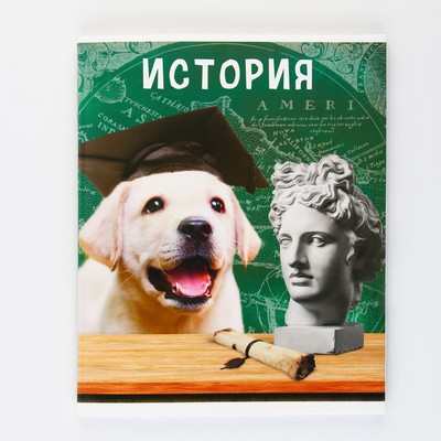 Тетрадь в клетку, предметная, 48 л., на скрепке, А5 «МИЛЫЕ ПИТОМЦЫ. История»