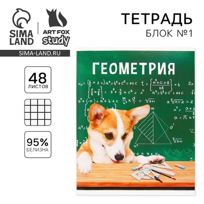 Тетрадь в клетку, предметная, 48 л.,на скрепке, А5 «МИЛЫЕ ПИТОМЦЫ. Геометрия»