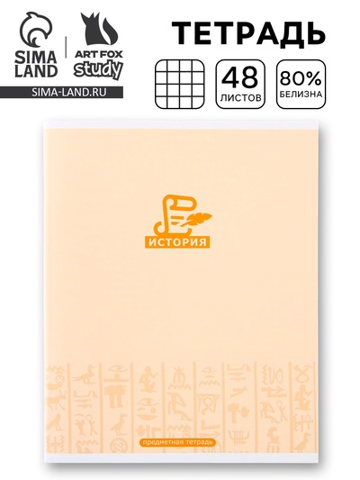 Тетрадь в клетку, предметная, 48 л., на скрепке, А5 «МИНИМАЛИЗМ. История»