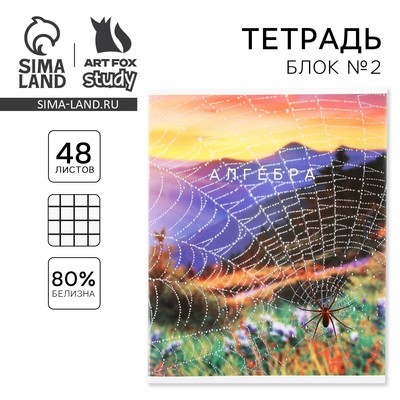 Тетрадь в клетку, предметная, 48 л.,на скрепке, А5 «ПРИРОДА. Алгебра»