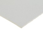 Картон пивной премиум, 15 х 15 см, толщина 1.6 мм, 650 г/м2, Италия, цена за 1 штуку - фото 22181933