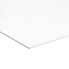 Картон пивной премиум, 30 х 40 см, (формат А3), толщина 1.6 мм, 650 г/м2, Италия, цена за 1 штуку (комплект 5 шт) - фото 22181951