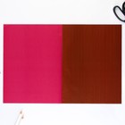 Бумага цветная двусторонняя А4 «Совушка» 16 листов 16 цветов мелованная, плотность 70-75 г/м², обложка 80 г/м² - Фото 4