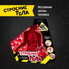 Научно-познавательный набор «Строение тела», модели Re-Агенты 9584410