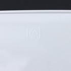 Корзинка для хранения без крышки, 2,7 л, 24×16,5×9 см, цвет белый - Фото 3