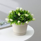 Горшок для цветов с поддоном Mint, 1,2 л, d=15 см, h=11,3 см, цвет светло-бежевый - Фото 2