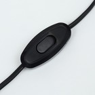 Террариум телевизор панорамный с крышкой, 50 л - Фото 8