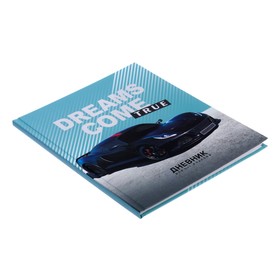 Дневник школьный для 5-11 классов, Dreams come true, твёрдая обложка 7БЦ, матовая ламинация, тиснение фольгой, 48 листов