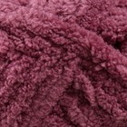Пряжа "Fluffy" 100% микрополиэстер 70м/150гр (724 брусника) - фото 805484110