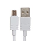 Сетевое зарядное устройство BYZ B35, 2 USB, 2.1 A, кабель microUSB 1 м, белое - фото 51462856 Сетевое зарядное устройство BYZ B35, 2 USB, 2.1 A, кабель microUSB 1 м, белое - фото 51462856