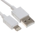 Сетевое зарядное устройство BYZ U26 EU, 2 USB, 2.4 A, кабель Lightning 1 м, белое 9633041 - фото 16625402