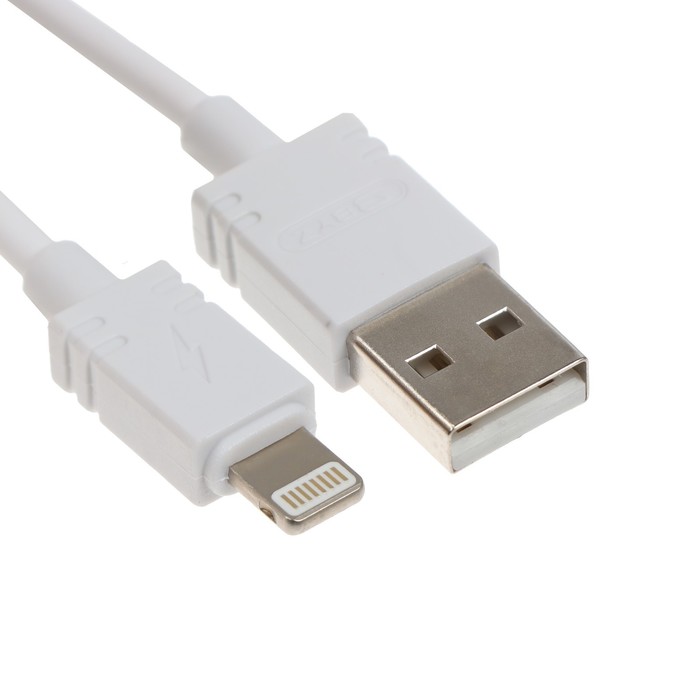 Сетевое зарядное устройство BYZ U26 EU, 2 USB, 2.4 A, кабель Lightning 1 м, белое - фото 51462875