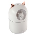 Подарочный набор Luazon, увлажнитель HM-8, массажёр для шеи LEM-51 - фото 24544003