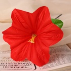 Цветы искусственные «Гиппеаструм», h=23 см, d=12 см, красные 9351761