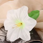Цветы искусственные "Гиппеаструм" d-12 см h-23 см,  белый - Фото 2