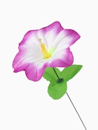 Цветы искусственные «Гиппеаструм», d=12 см, h=23 см, бело-сиреневые 9351763