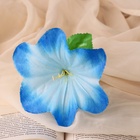 Цветы искусственные "Гиппеаструм" d=12 см, h=23 см,  голубой (20 шт) - фото 809155296