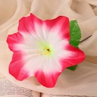 Цветы искусственные "Гиппеаструм" d=12 см, h=23 см,  бело-розовый (20 шт) - фото 809155302