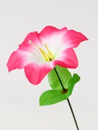 Цветы искусственные "Гиппеаструм" d=12 см, h=23 см,  бело-розовый (20 шт) - фото 809155304