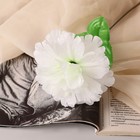 Цветы искусственные «Глоксиния соната», h=20 см, d=11 см, белые - Фото 2