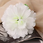 Цветы искусственные «Глоксиния соната», h=20 см, d=11 см, белые - Фото 7