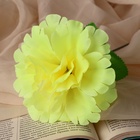 Цветы искусственные «Глоксиния соната», h=20 см, d=11 см, жёлтые - Фото 7