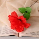 Цветы искусственные «Глоксиния соната», h=20 см, d=11 см, красные - Фото 6