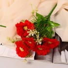 Букет "Хризантема Зембла" 6 цветков, d-6,5 см h-26 см, микс - фото 320444674