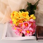 Букет "Бегония Топхэт" 12 цветков, d-7 см h-31 см, микс - Фото 4