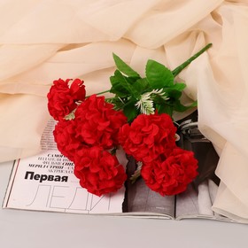 Букет "Гортензия премиум" 6 цветков, d-7 см h-26 см, микс